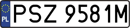 PSZ9581M