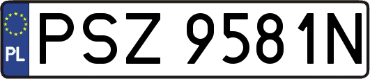 PSZ9581N