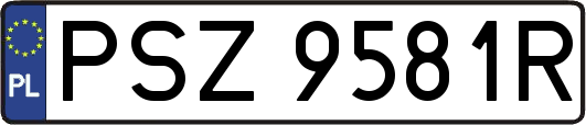 PSZ9581R