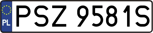 PSZ9581S