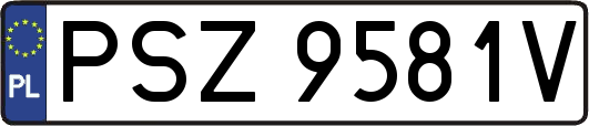 PSZ9581V
