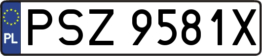 PSZ9581X