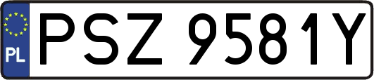 PSZ9581Y