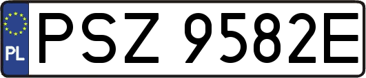 PSZ9582E