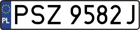 PSZ9582J