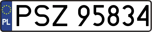 PSZ95834