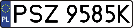 PSZ9585K