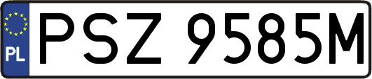 PSZ9585M