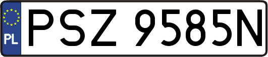 PSZ9585N