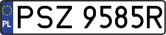 PSZ9585R
