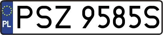 PSZ9585S