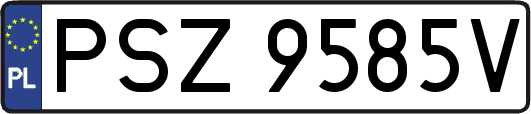 PSZ9585V