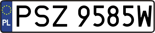 PSZ9585W