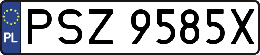 PSZ9585X