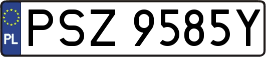 PSZ9585Y