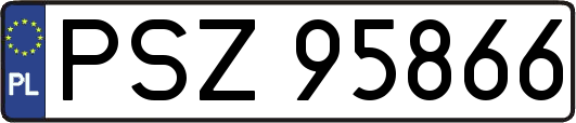 PSZ95866