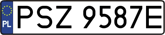 PSZ9587E