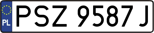 PSZ9587J