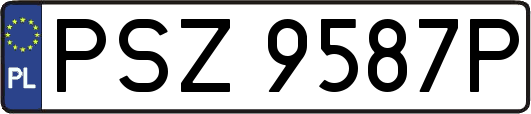 PSZ9587P