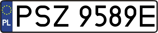 PSZ9589E