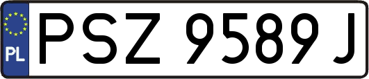 PSZ9589J