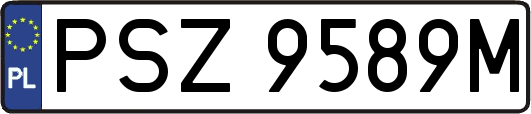 PSZ9589M