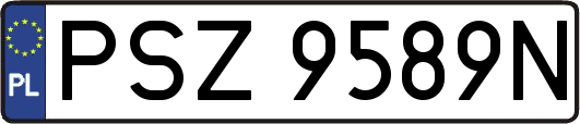 PSZ9589N