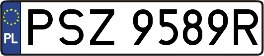 PSZ9589R
