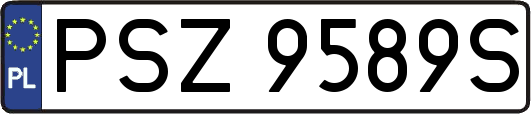 PSZ9589S