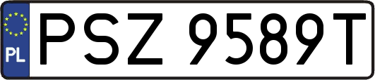 PSZ9589T