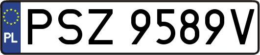PSZ9589V