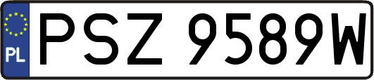 PSZ9589W
