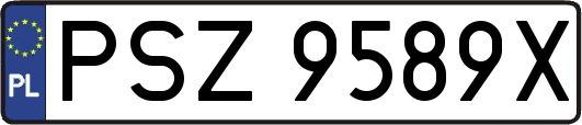 PSZ9589X