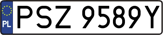 PSZ9589Y