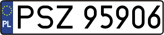 PSZ95906