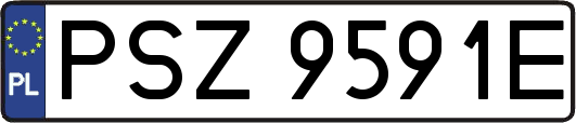 PSZ9591E