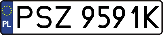 PSZ9591K