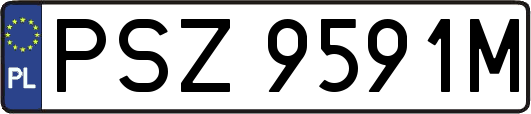 PSZ9591M
