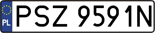 PSZ9591N