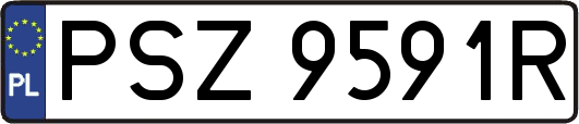 PSZ9591R