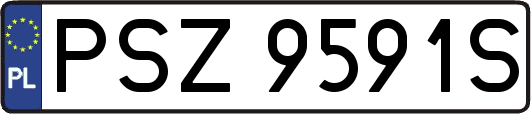 PSZ9591S