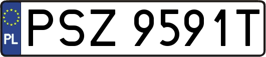 PSZ9591T