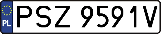 PSZ9591V