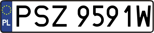 PSZ9591W