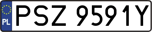 PSZ9591Y