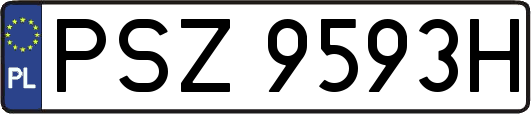 PSZ9593H
