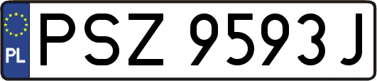 PSZ9593J