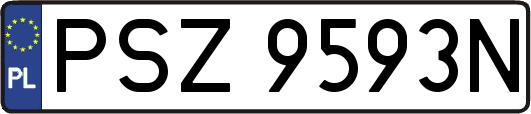 PSZ9593N