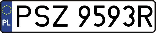 PSZ9593R