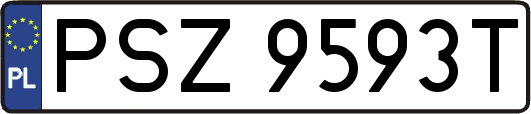 PSZ9593T